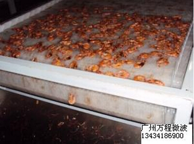海產(chǎn)品干燥殺菌機